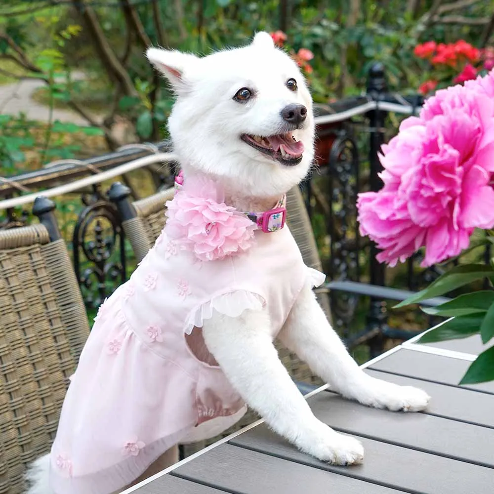 My Little Princess Dog Tulle Dress with Dainty Flower