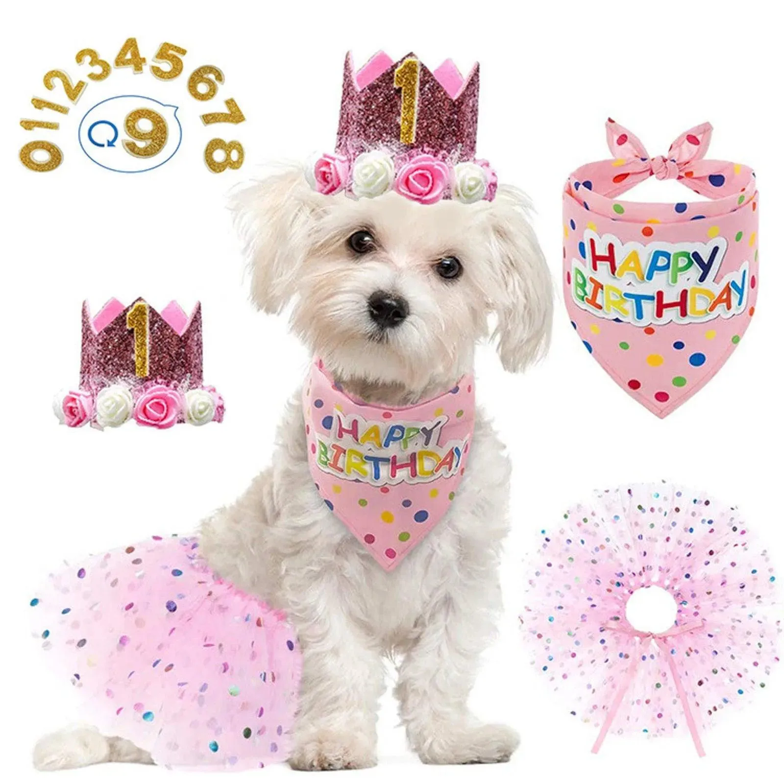 Pet Birthday Party Crown Pink Scarf Set